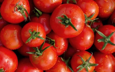 Tag-der-Tomate Tag-der-Tomate