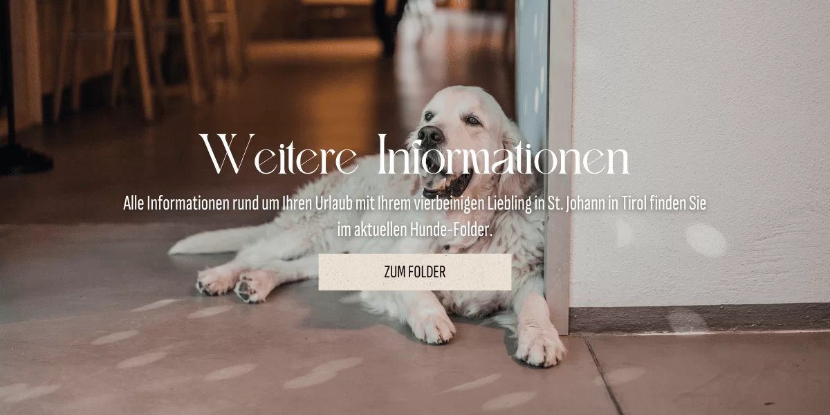 Hundeurlaub